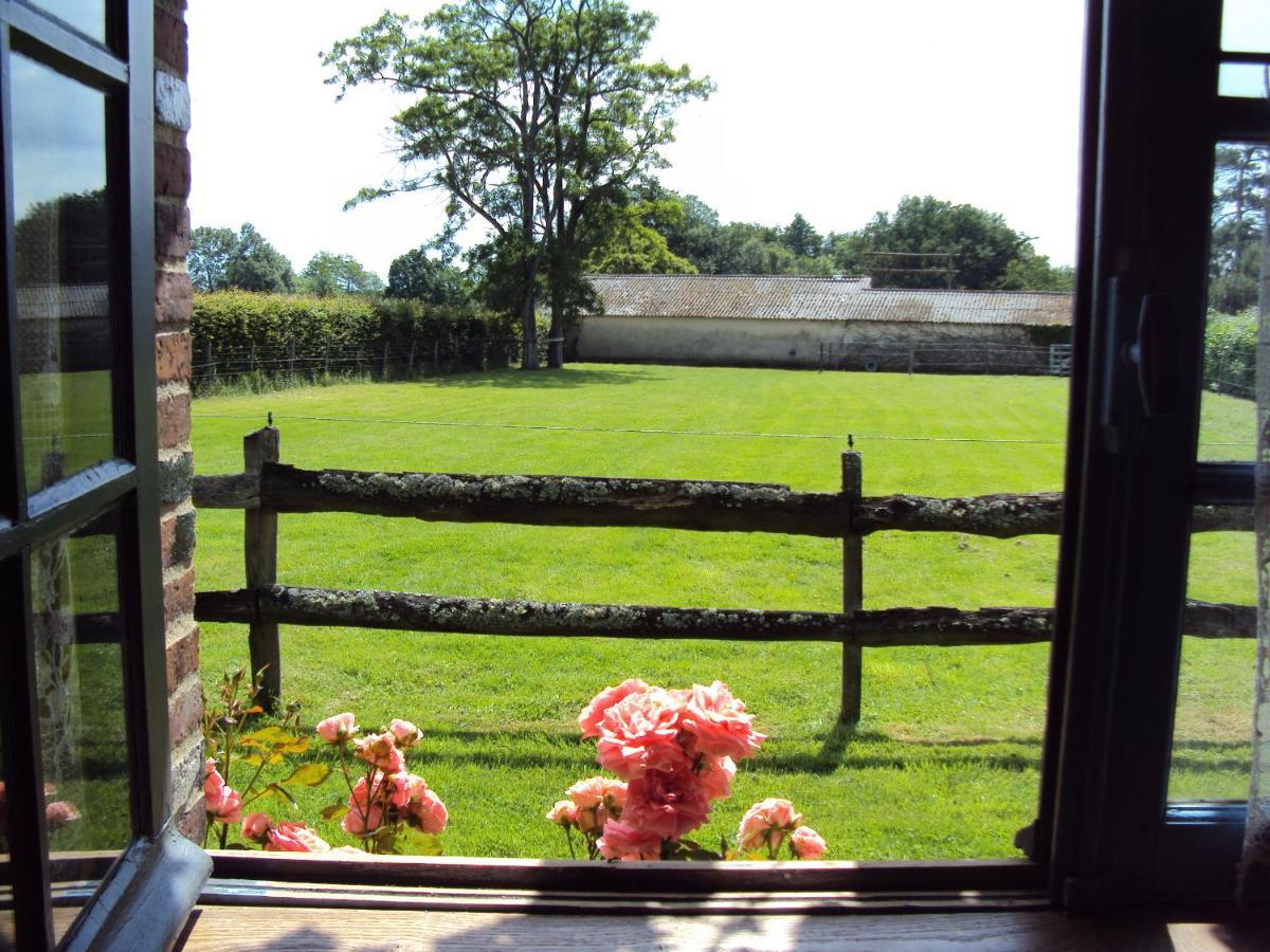 Bed and Breakfast La Pastorale La Puisaye Экстерьер фото